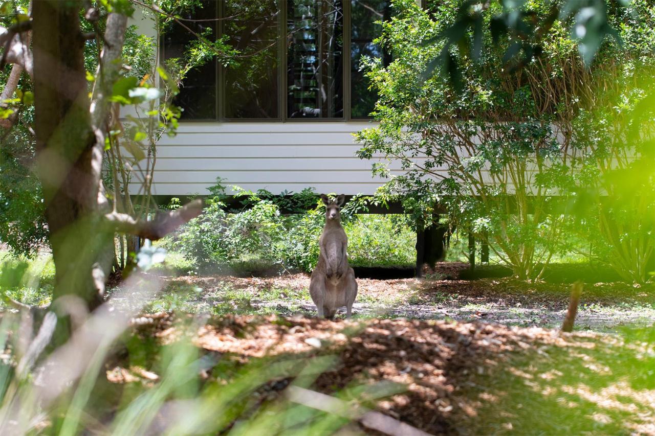 Eumarella Shores Noosa Lake Retreat Noosaville Kültér fotó