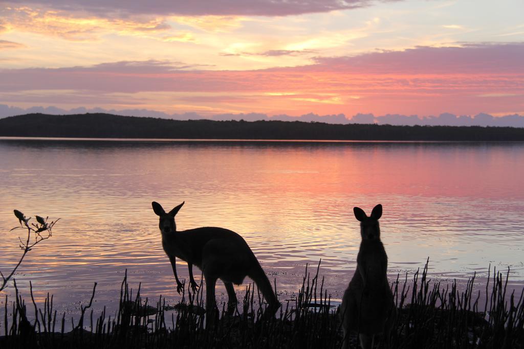 Eumarella Shores Noosa Lake Retreat Noosaville Kültér fotó